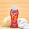 Softsoap Body Wash Pomegranate & Mango - 20 Fl Oz/4ct
