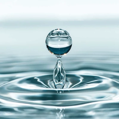 Tyro Violet Softening Lotion - Face Lotion For Dry Skin - 6.76 Oz 6 Tyro Violet Softening Lotion - Face Lotion For Dry Skin - 6.76 Oz - Image 4