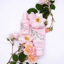 Body Care Shop -Body Care Shop GUEST dcb777a2 6a8d 4976 9b25 187457f3563b