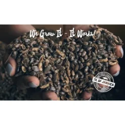 Tropic Isle Living Hibiscus Island Floral Body Scrub - 8oz